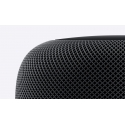  Apple HomePod (Space Gray) (MQHW2)