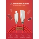 .  Floveme Lightning to USB Cable (Red) (1,2m)