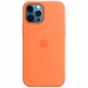 Acc. -  iPhone 12 Pro Max Apple Case Kumquat (Copy) () ()