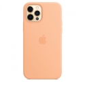 Acc.   iPhone 12 Pro Max Apple Case MagSafe Cantaloupe (Copy) () ()