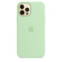Acc.   iPhone 12 Pro Max Apple Case MagSafe Pistachio (Copy) () (')